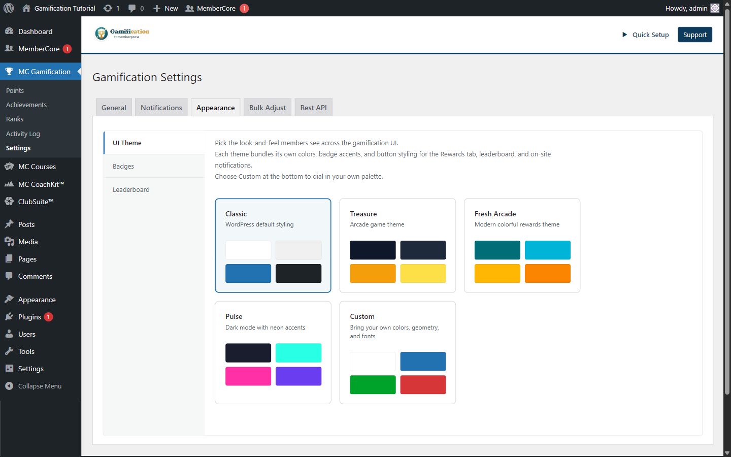 UI Theme picker showing all five theme cards with the Custom card selected